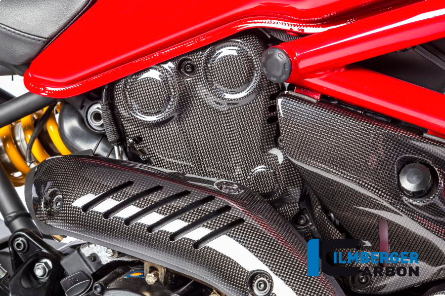 Ilmberger Carbon Vertical Timing Belt Cover Surface - Gloss