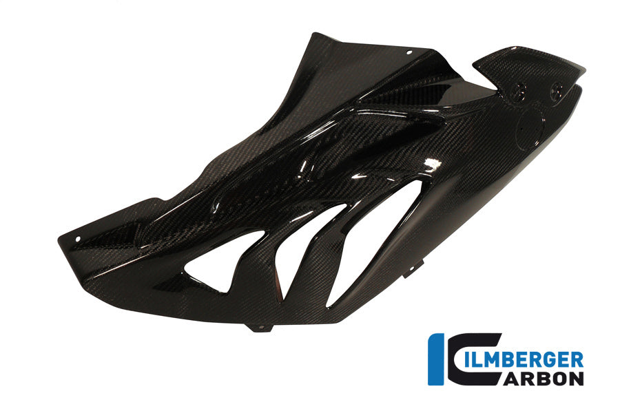 Ilmberger Carbon Fairing Side Panel Racing 2012 Carbon