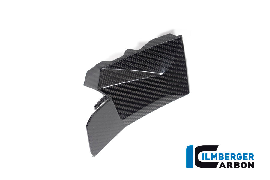 Ilmberger Carbon Cover Near The Instruments Right Side S 1000 XR From MY 2020