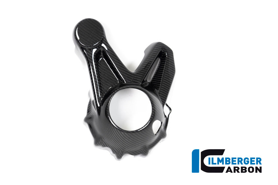 Ilmberger Carbon Bevel Drive Housing Protector (Mounting With Rear Splash Guard) BMW R 1250 GS / R 1250 R