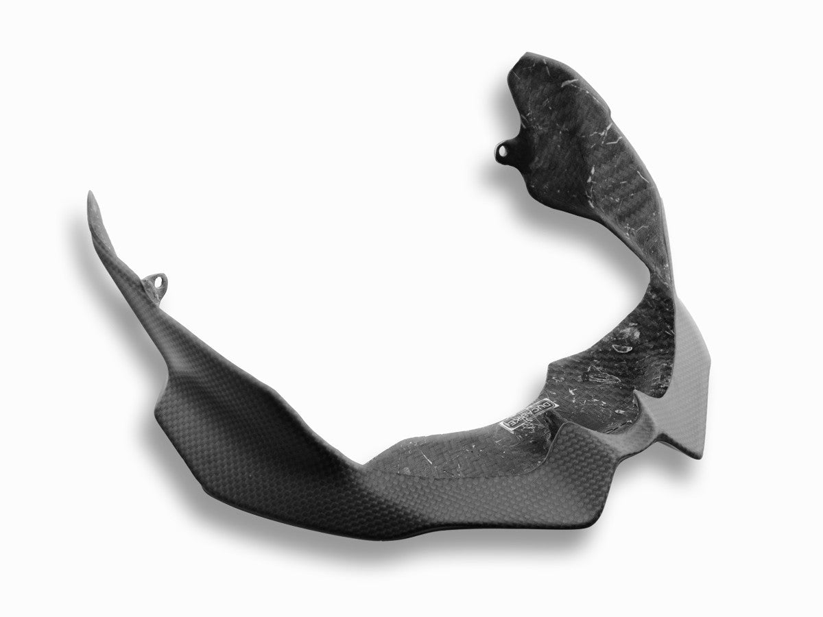 Ducabike DBK CRB08O Carbon Lower Headlight Protection
