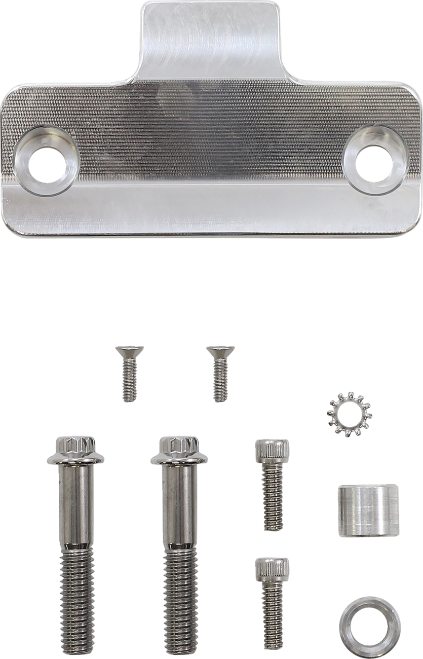 Slyfox Gauge Mount - Single - Unfinished - Dyna
