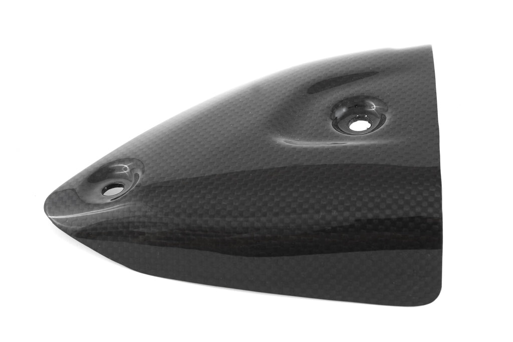 Fullsix Carbon EXHAUST PROTECTOR - Termignoni - LEFT