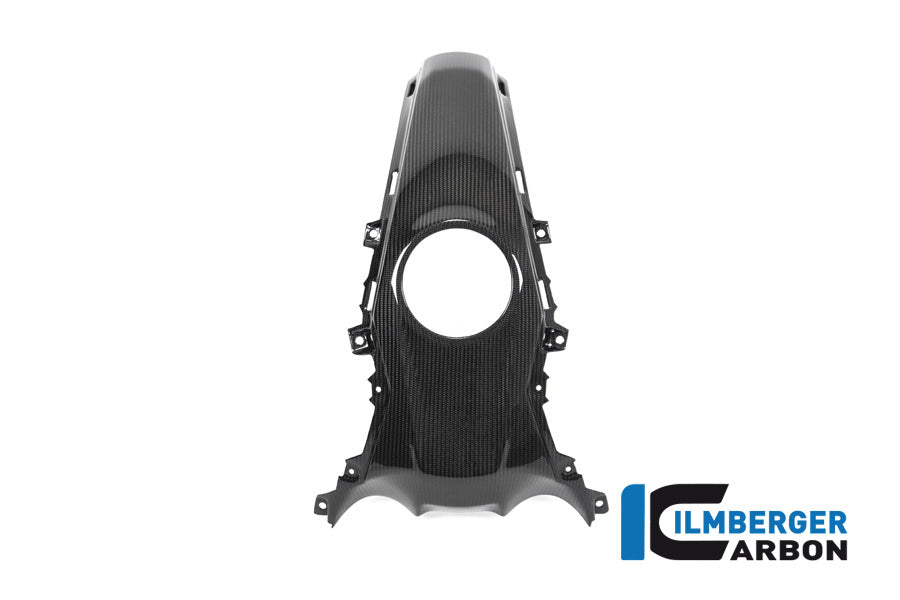 Ilmberger Carbon Tank Centre Panel BMW R 1250 R / R 1250 RS