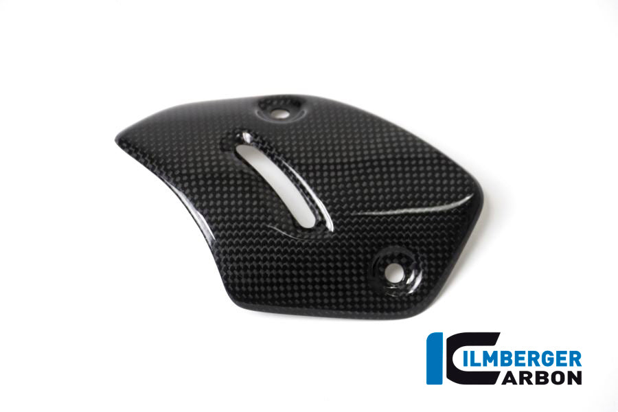 Ilmberger Carbon Protector On The Silencer Ducati XDiavel 2016