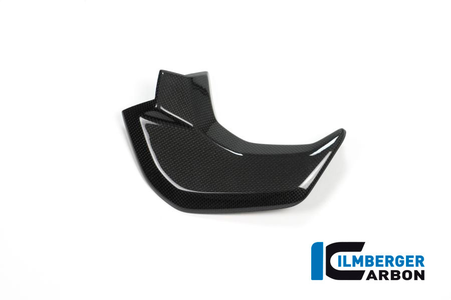 Ilmberger Carbon Cover Near The Instrument Left Side Surface Ducati MTS 2015 - Gloss