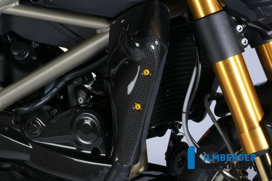 Ilmberger Carbon Water Radiator Cover Right Carbon