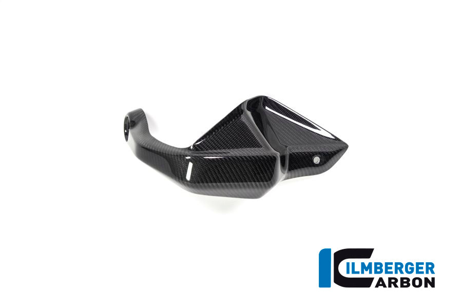 Ilmberger Carbon Hand Protector Right Side BMW R 1250 GS