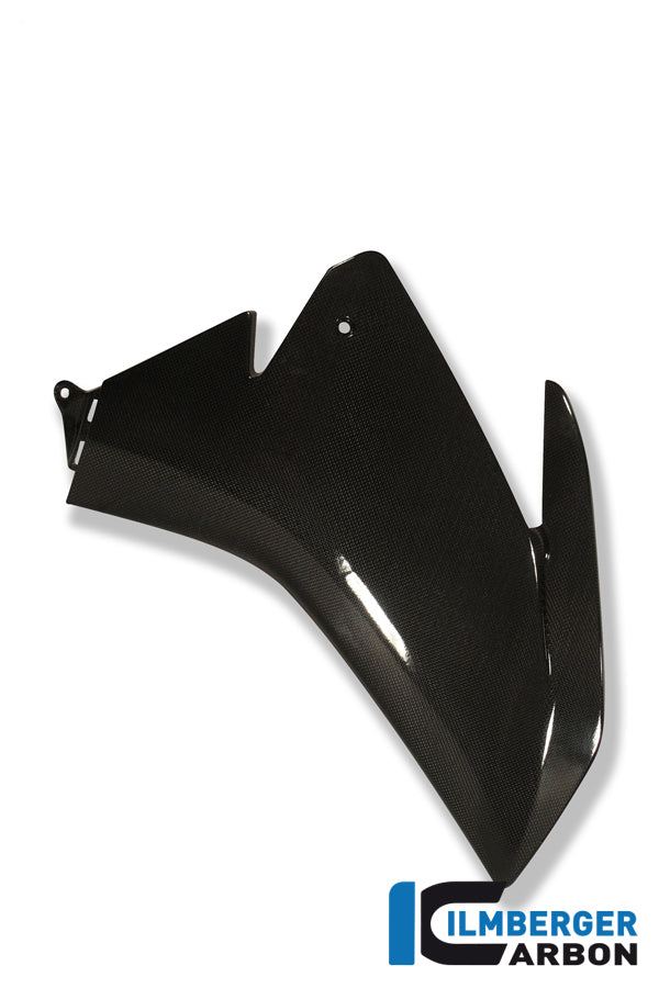 Ilmberger Carbon Right Fairing Side Panel Carbon