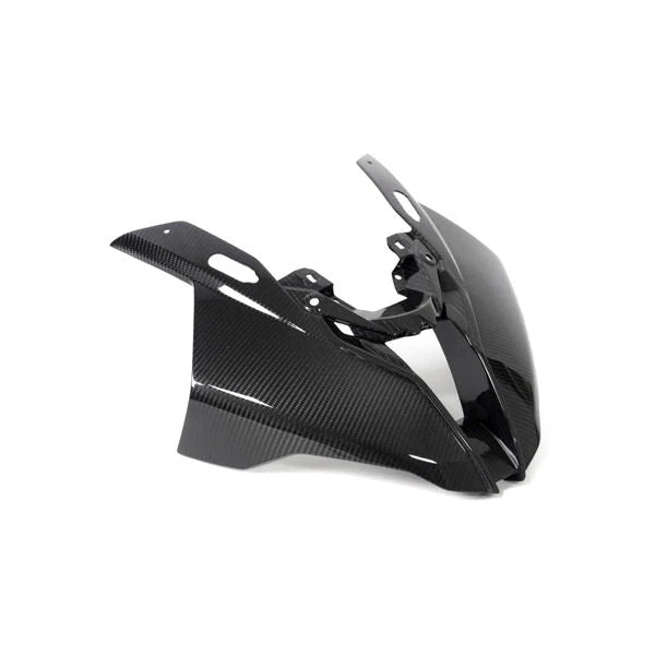 Ilmberger Carbon Fiber Headlight Front Fairing Panel BMW S1000RR K67