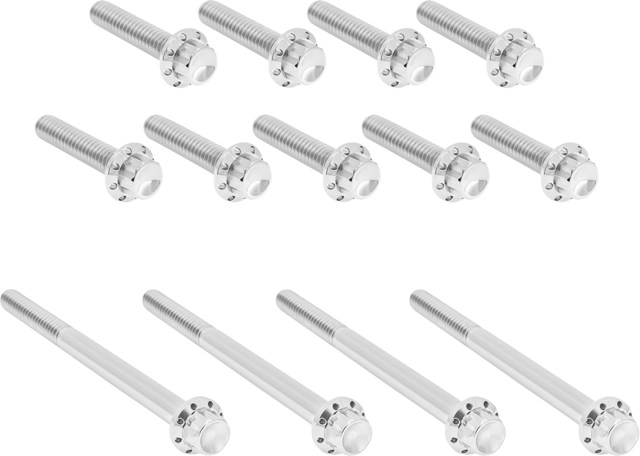 Arlen NESS Bolt Kit - Primary Cover - Titanium - 12-Point - Twin Cam - Polished