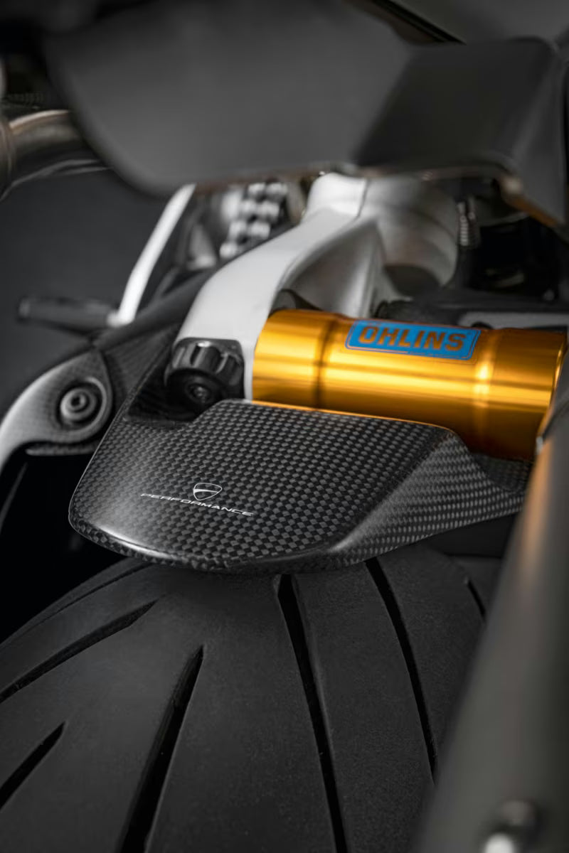 Ducati Performance Carbon Rear Mudguard