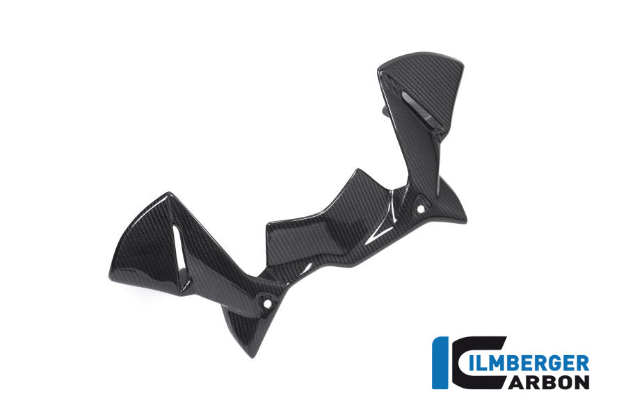 Ilmberger Carbon Windprotector On The Instruments BMW R 1250 GS