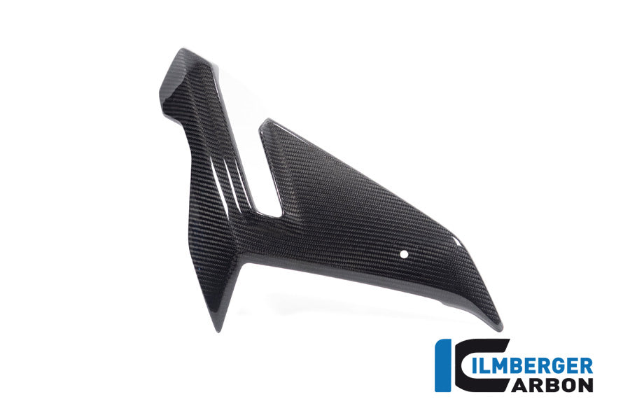 Ilmberger Carbon Fairing Side Panel Right Street Version BMW M 1000 R 2023