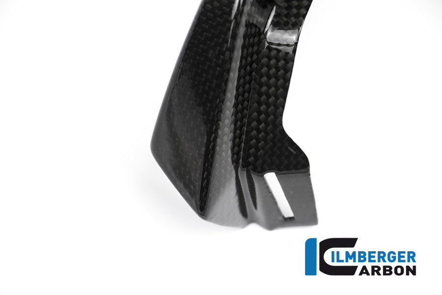 Ilmberger Carbon Front Beak Extension