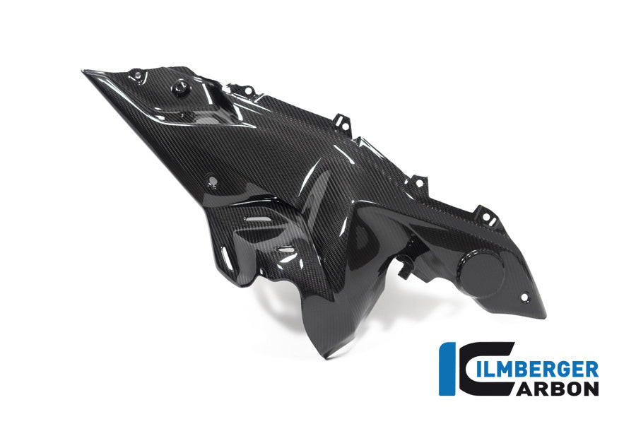 Ilmberger Carbon Side Panel Under The Tank Right Side BMW R 1250 RS