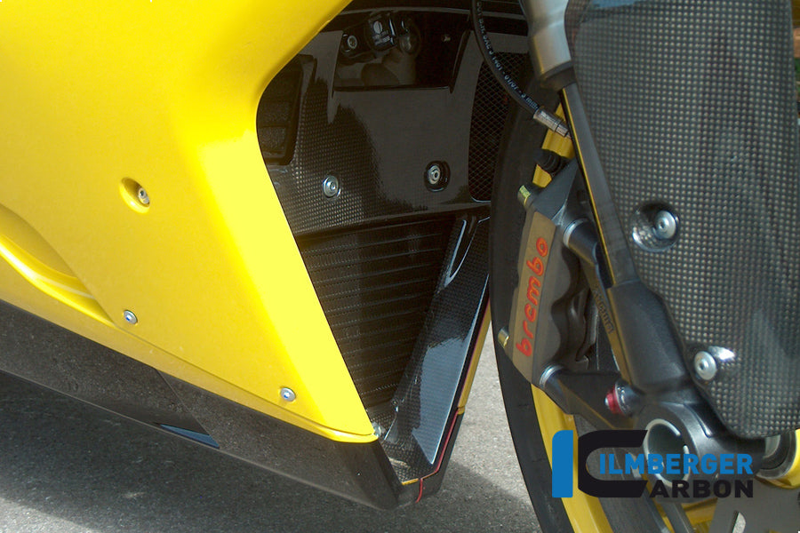 Ilmberger Carbon Fairing Insert Carbon