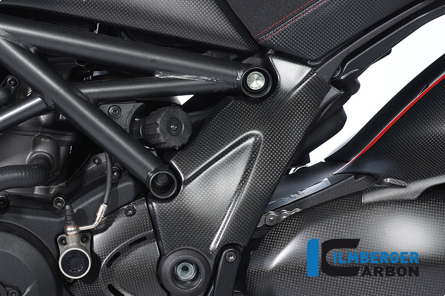 Ilmberger Carbon Frame Cover Left Carbon