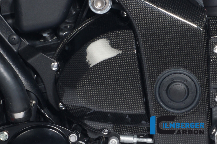 Ilmberger Carbon Sprocket Cover Carbon