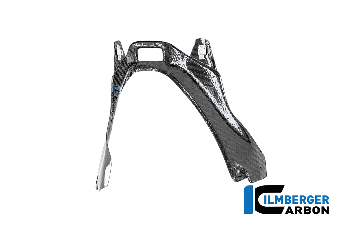 Ilmberger Carbon Tail Unit + Seat Kit, 6-Piece, Racing Ducati Panigale V4 R Racing 2025