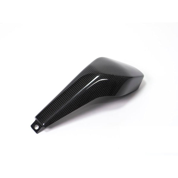 Ilmberger Carbon Fiber Passenger Seat Cover for Ducati Panigale V4 V4S Speciale