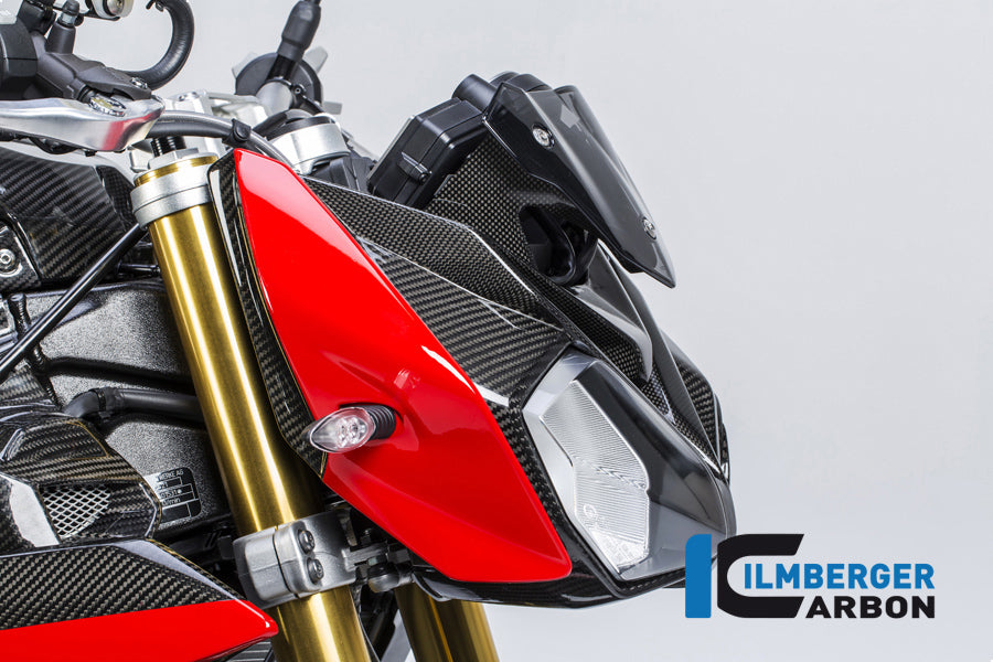 Ilmberger Carbon Side Cover On The Top Right Carbon