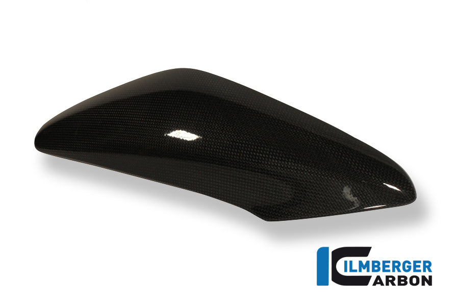 Ilmberger Carbon Side Cover Above The Radiator Left Carbon