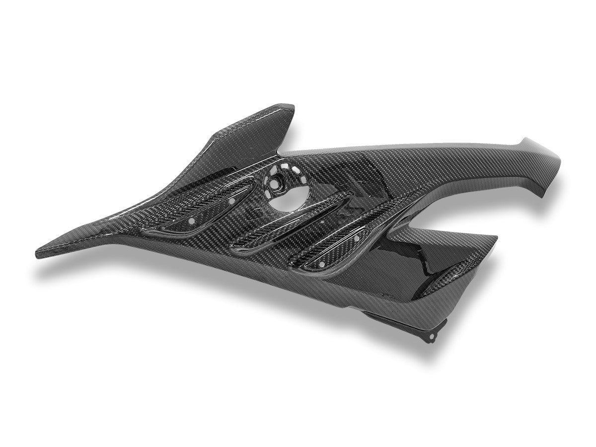 CRB219L - BMW S1000RR MY23 GLOSSY CARBON SIDE PANEL INFILL
