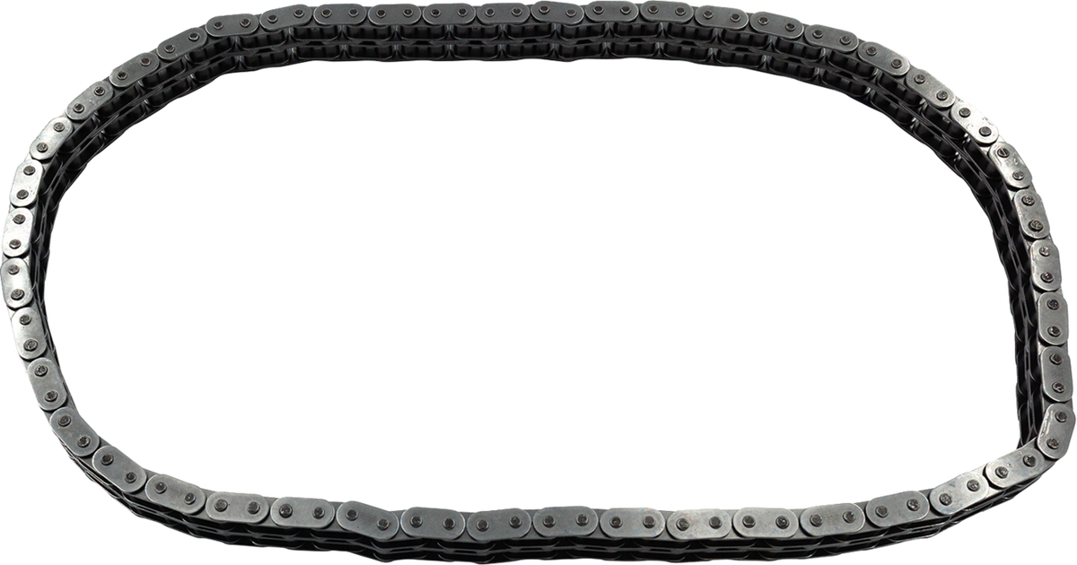 S&S Cycle Primary Chain - '07-'25 Touring
