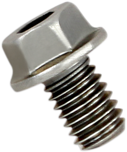 Akrapovic Replacement Exhaust Bolt