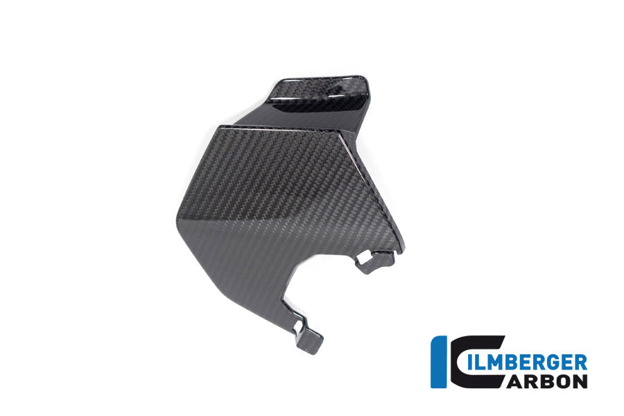 Ilmberger Carbon Upper Wing Right BMW M 1000 XR 2024