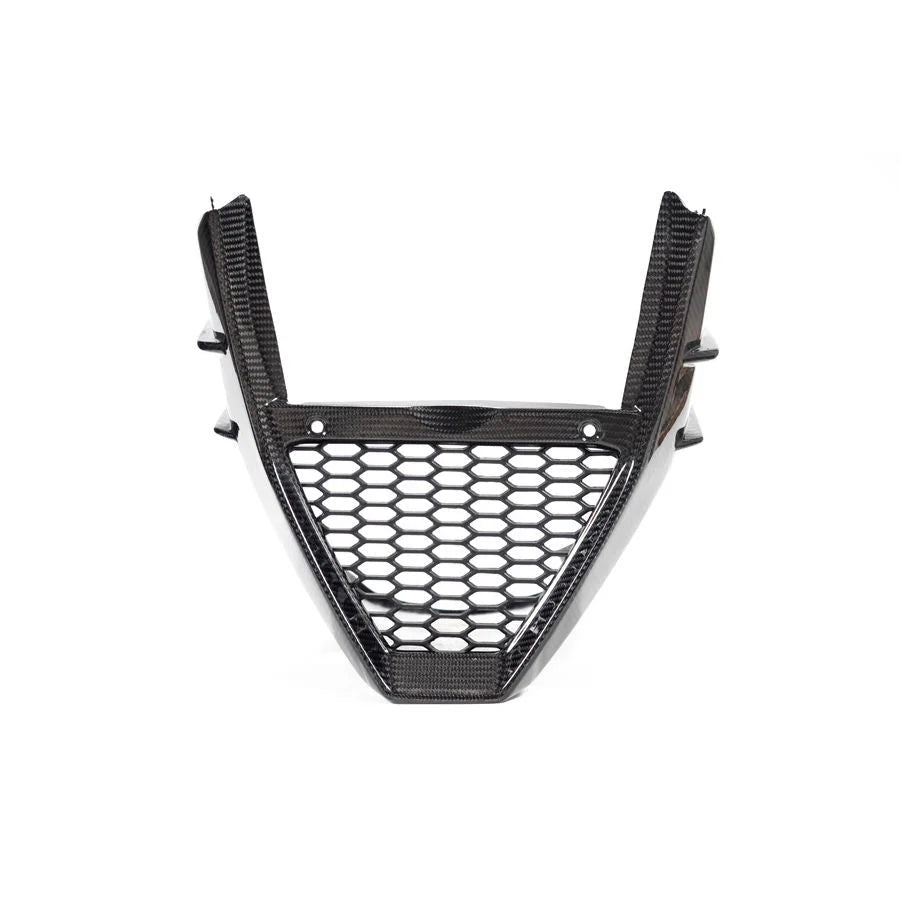 Ilmberger Carbon Fiber Bellypan Fairing Aprilia Tuono V4 1100 Factory