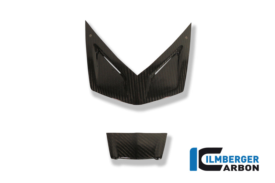 Ilmberger Carbon Fairing Covers On The Light Carbon