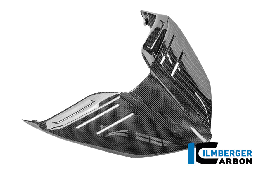Ilmberger Carbon Solo Rear Tail Panel Ducati Panigale V4 2025-2026 - Gloss / Plain