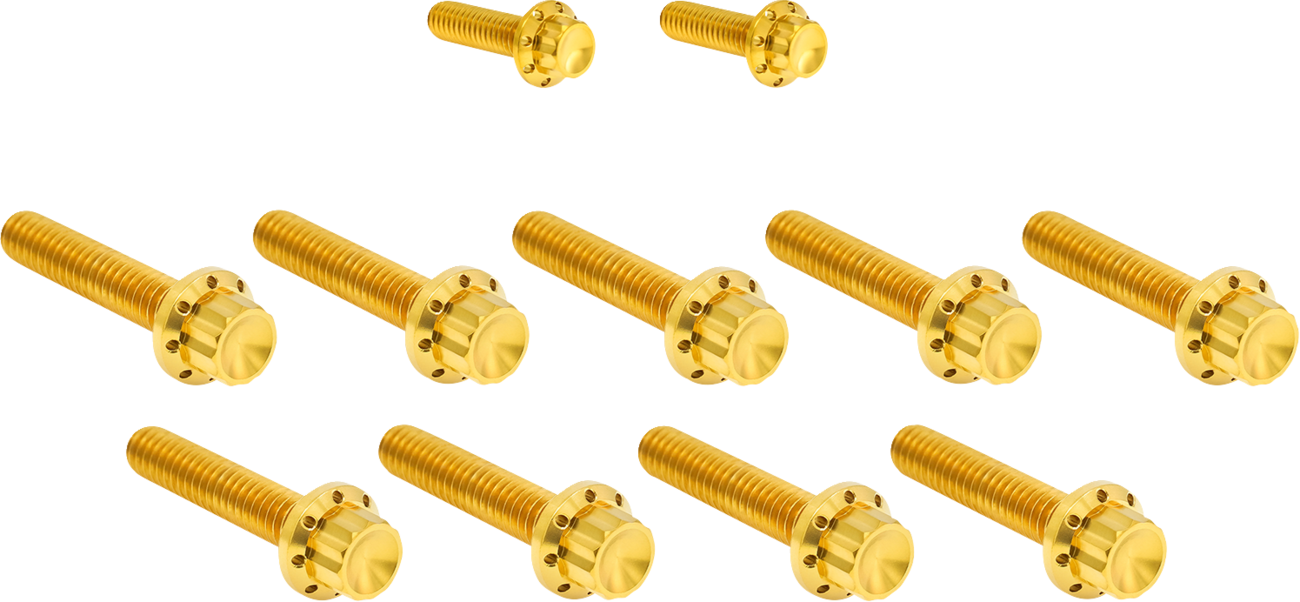 Arlen NESS Bolt Kit - Cam Cover/Point Cover - Titanium - 12-Point - Gold