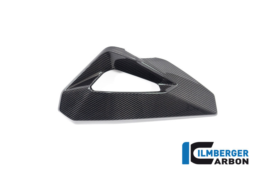 Ilmberger Carbon Cover On The Watercooler Left BMW S 1000 XR 2024