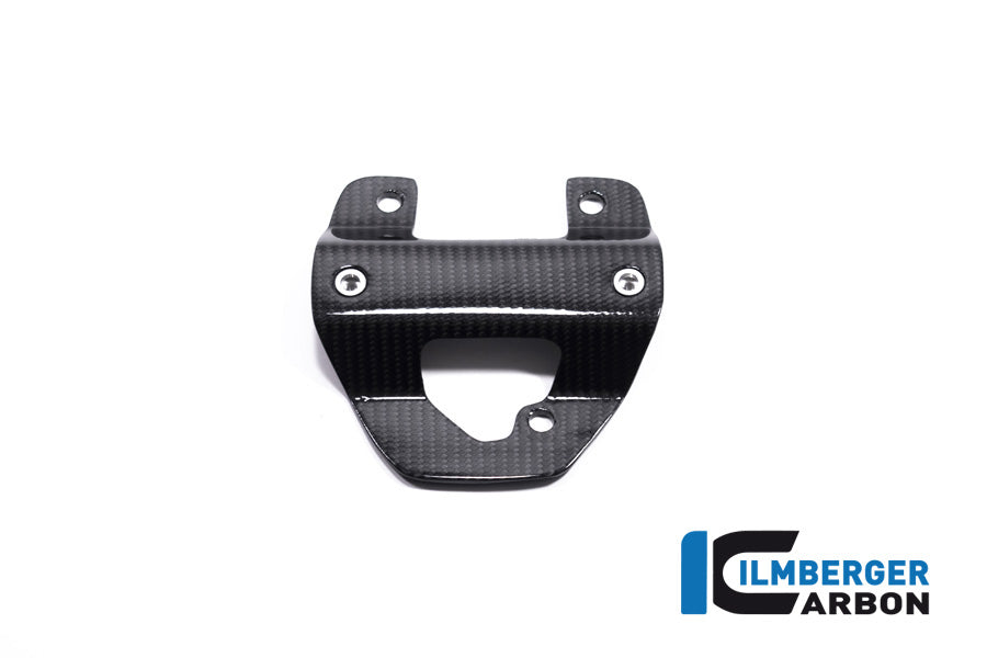 Ilmberger Carbon Sump Guard / Undertray BMW R 1250 GS