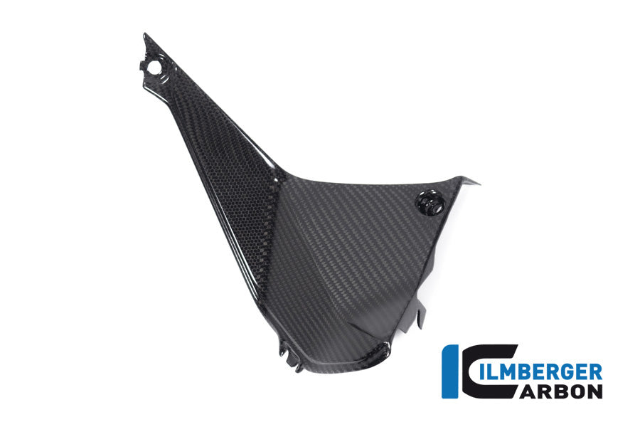 Ilmberger Carbon Cover Near The Instrument Right Side BMW R 1250 RS