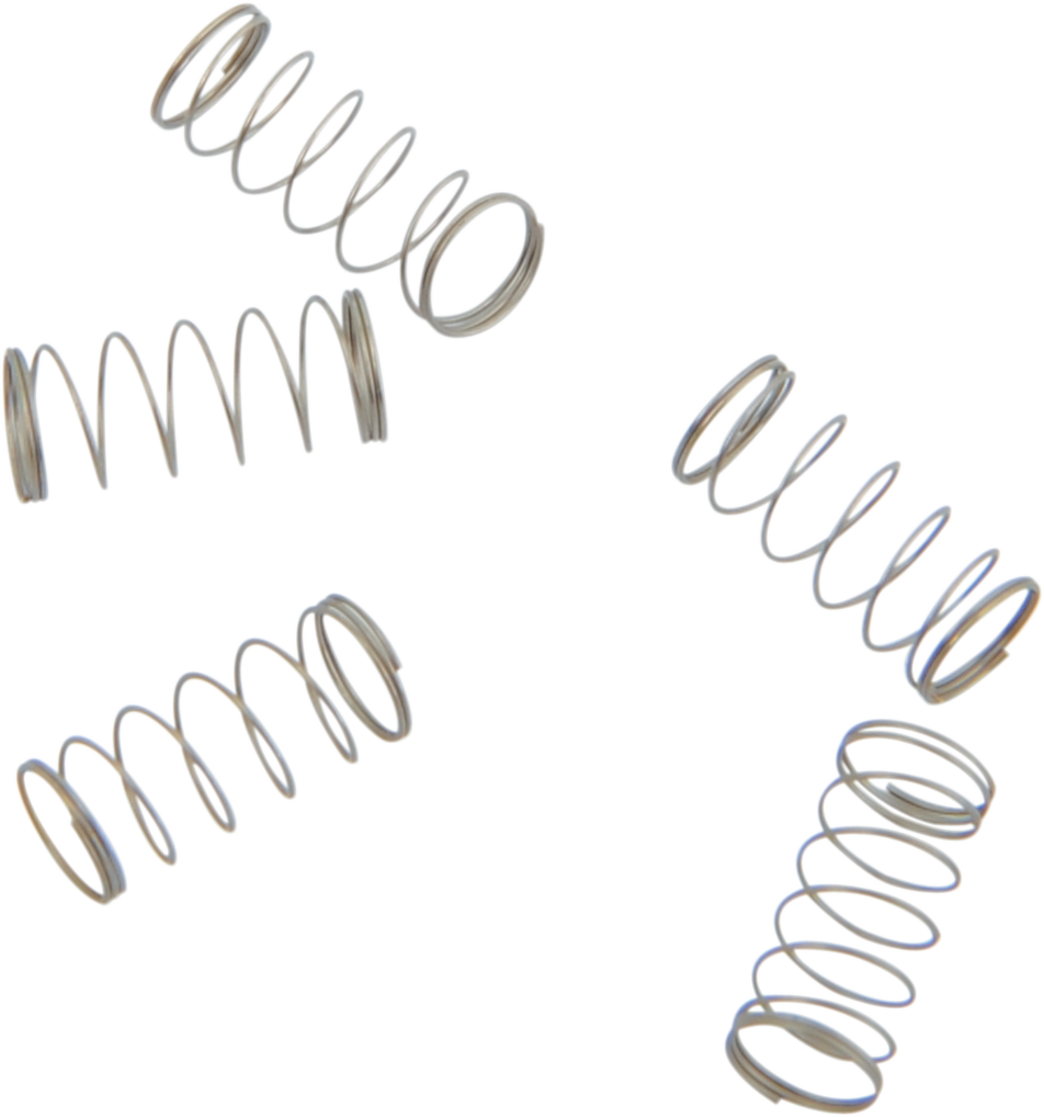 S&S Cycle Springs - Check Ball - 5 Pack