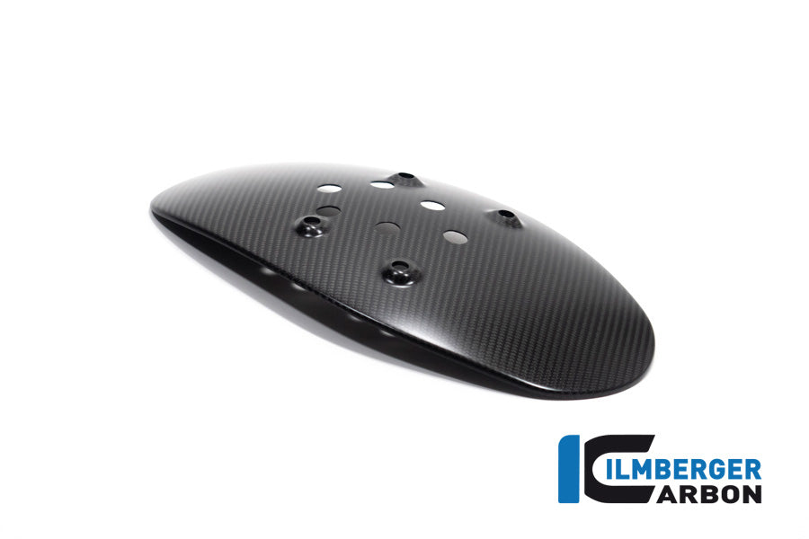 Ilmberger Carbon Rear Splash Guard Ducati Diavel Bentley Matte