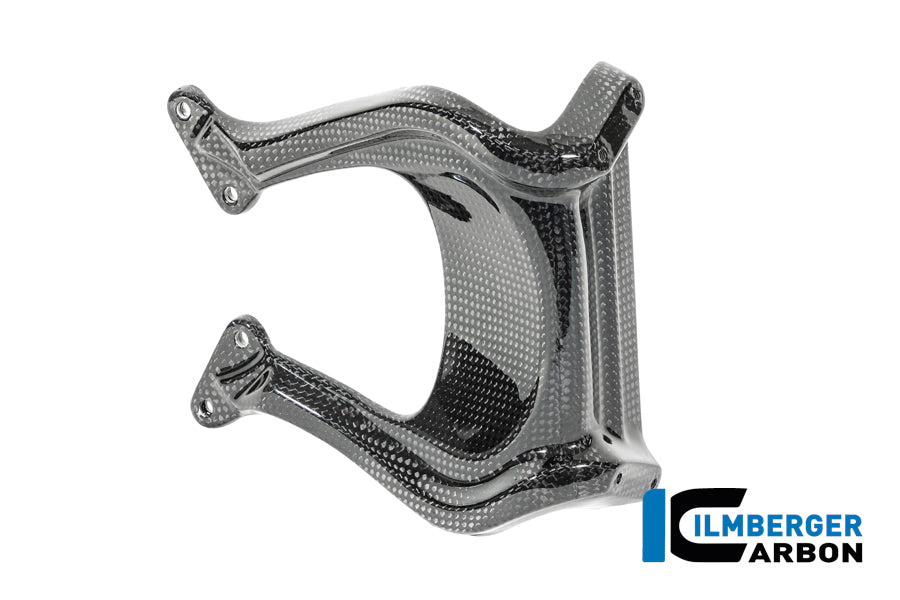 Ilmberger Carbon Windshield BMW R12 NineT - Gloss / Twill