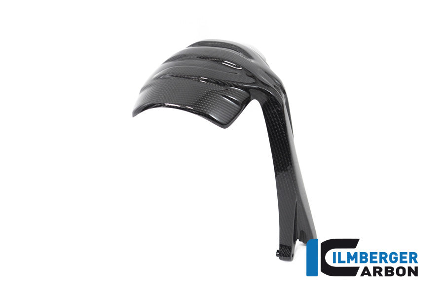 Ilmberger Carbon Rear Splash Guard BMW R 1250 GS From 2019
