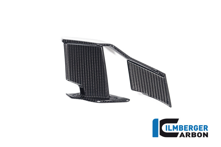 Ilmberger Carbon Winglet Left BMW M1000R 2023