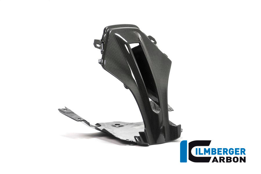 Ilmberger Carbon Verkleidungsmitterteil Oben BMW R1200RS'15