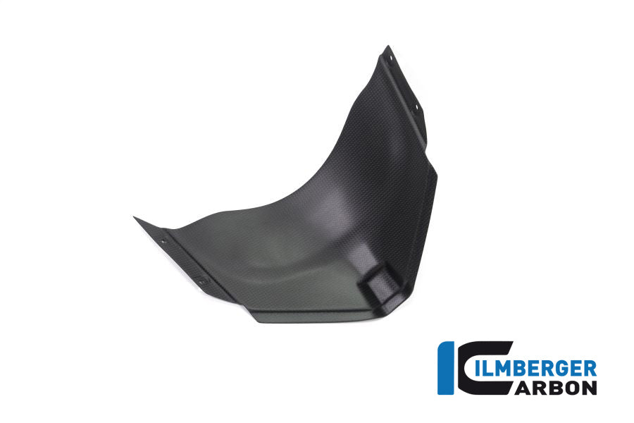 Ilmberger Carbon Panel Under The Front Fairing Ducati Panigale V4 Racing - Matte