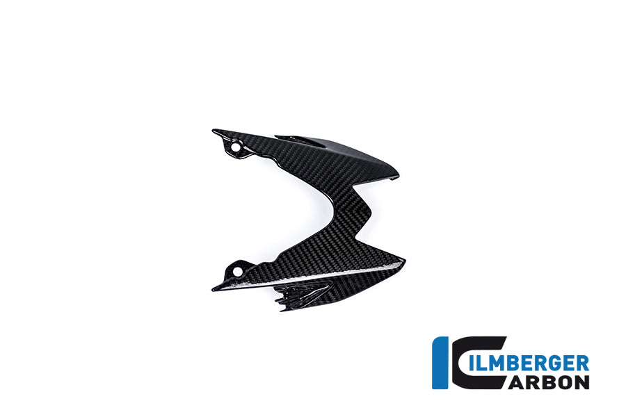 Ilmberger Carbon Rear Upper Tail Fairing (Taillight Cover) Carbon