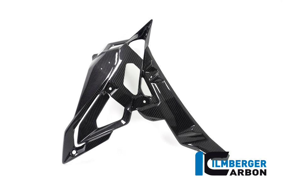 Ilmberger Carbon Radiator Cover / Badge Holder Right Side - BMW S 1000 R (Ab 2017)