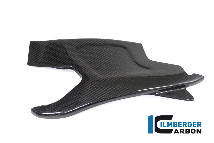 Ilmberger Carbon Swing Arm Cover Left Side BMW HP4 RACE