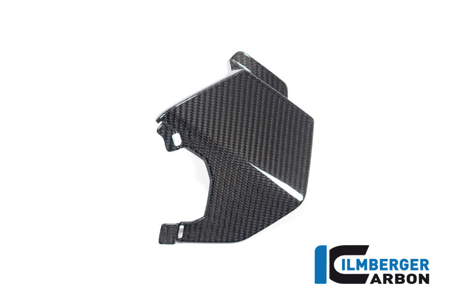 Ilmberger Carbon Upper Wing Left BMW M 1000 XR 2024