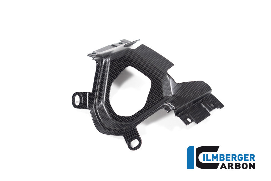 Ilmberger Carbon Ignition Switch Cover Ducati Diavel 1260 - Matte
